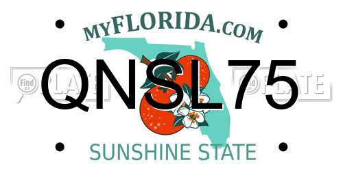 QNSL75 Florida License Plate