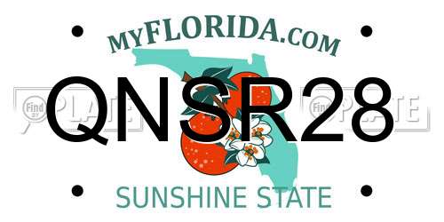 QNSR28 Florida License Plate