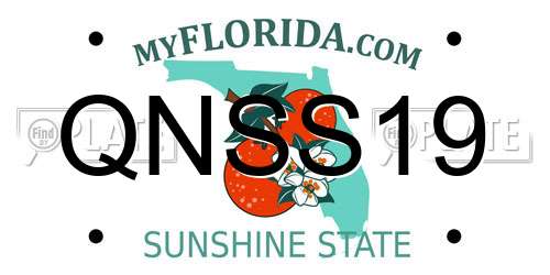 QNSS19 Florida License Plate