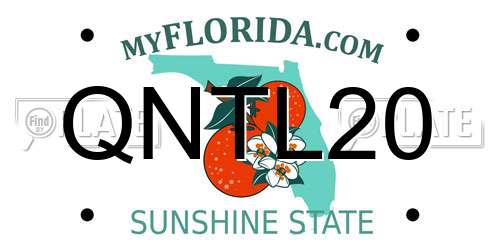 QNTL20 Florida License Plate
