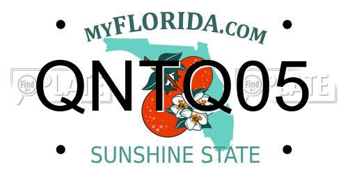 QNTQ05 Florida License Plate