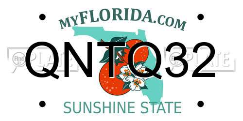 QNTQ32 Florida License Plate
