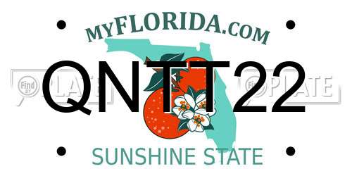 QNTT22 Florida License Plate