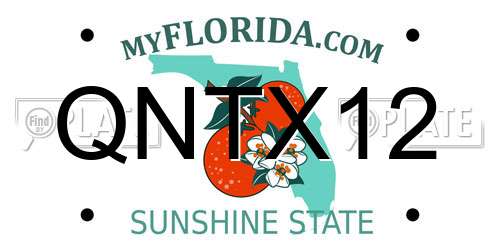 QNTX12 Florida License Plate