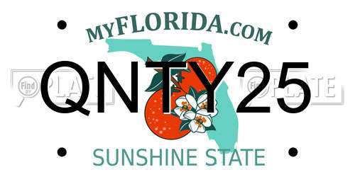 QNTY25 Florida License Plate
