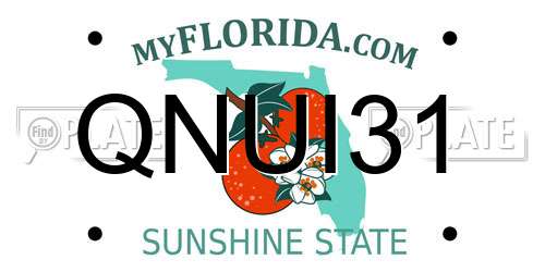 QNUI31 Florida License Plate