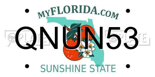 QNUN53 Florida License Plate