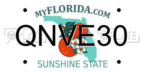 QNVE30 Florida License Plate
