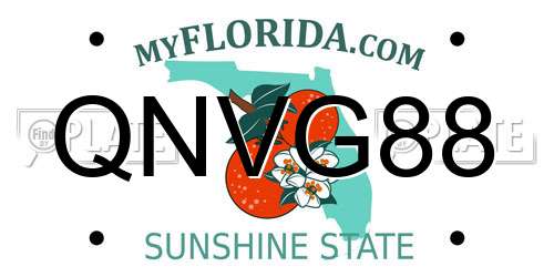 QNVG88 Florida License Plate