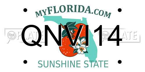 QNVI14 Florida License Plate