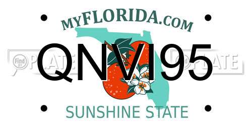 QNVI95 Florida License Plate