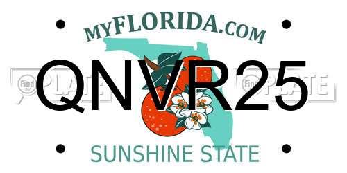 QNVR25 Florida License Plate