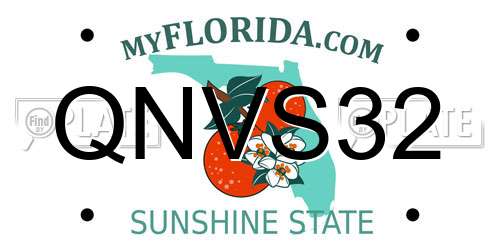 QNVS32 Florida License Plate