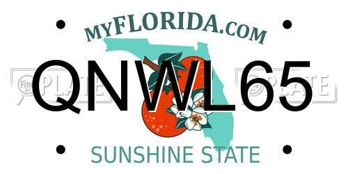 QNWL65 Florida License Plate