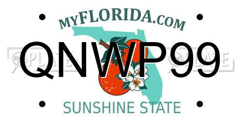 QNWP99 Florida License Plate