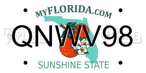 QNWV98 Florida License Plate