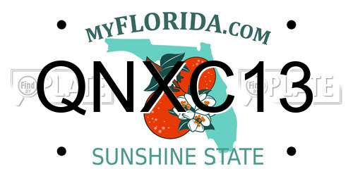 QNXC13 Florida License Plate