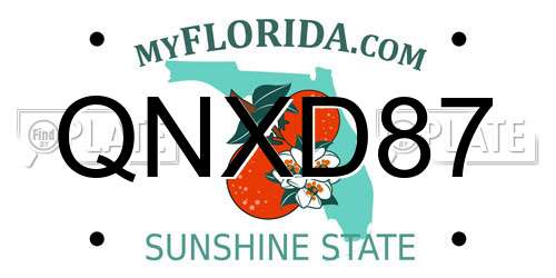 QNXD87 Florida License Plate