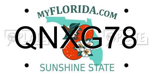 QNXG78 Florida License Plate