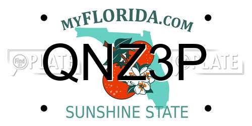 QNZ3P Florida License Plate
