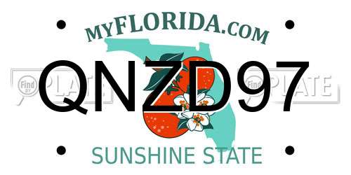QNZD97 Florida License Plate