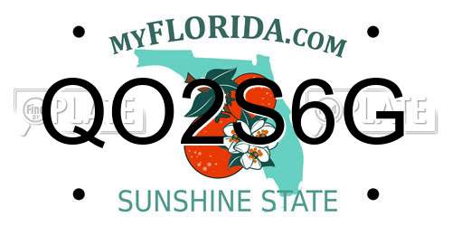 QO2S6G Florida License Plate