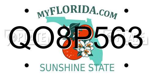 QO8P563 Florida License Plate