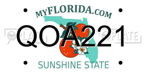 QOA221 Florida License Plate