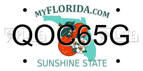 QOC65G Florida License Plate
