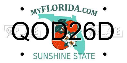 QOD26D Florida License Plate