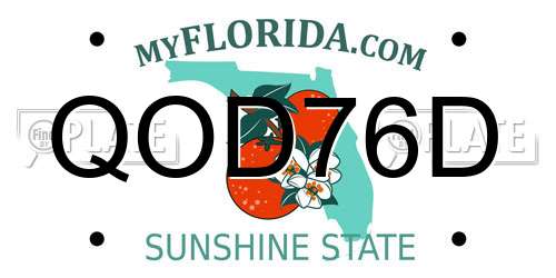 QOD76D Florida License Plate
