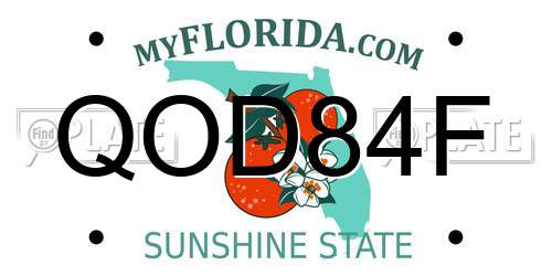 QOD84F Florida License Plate