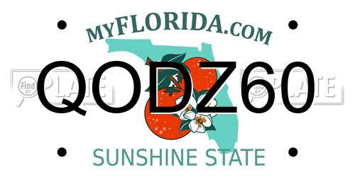 QODZ60 Florida License Plate
