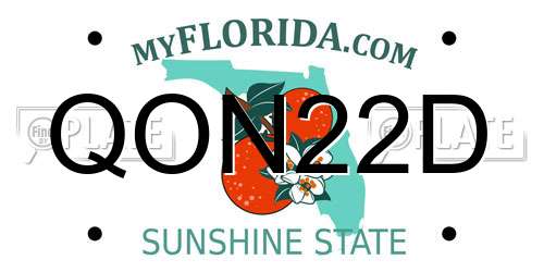 QON22D Florida License Plate