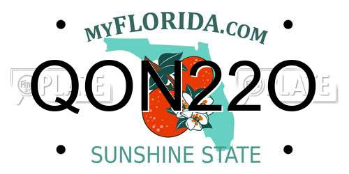 QON22O Florida License Plate