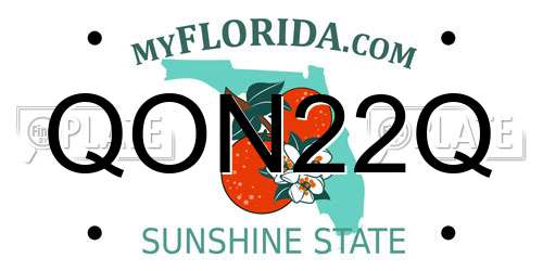 QON22Q Florida License Plate