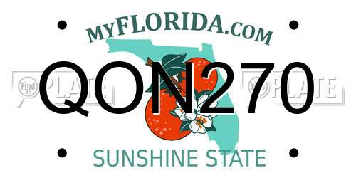 QON270 Florida License Plate