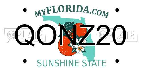 QONZ20 Florida License Plate