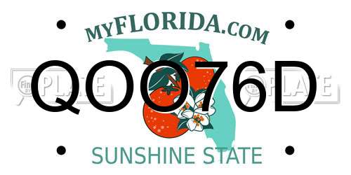 QOO76D Florida License Plate