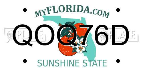 QOQ76D Florida License Plate