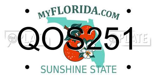 QOS251 Florida License Plate