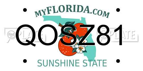 QOSZ81 Florida License Plate