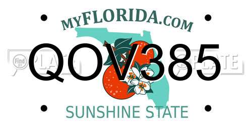 QOV385 Florida License Plate