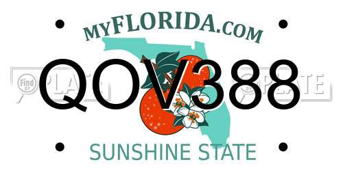 QOV388 Florida License Plate