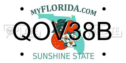 QOV38B Florida License Plate