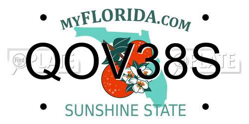 QOV38S Florida License Plate
