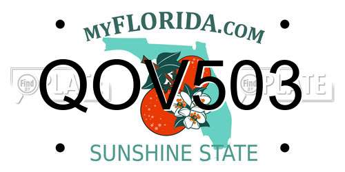 QOV503 Florida License Plate