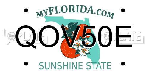 QOV50E Florida License Plate