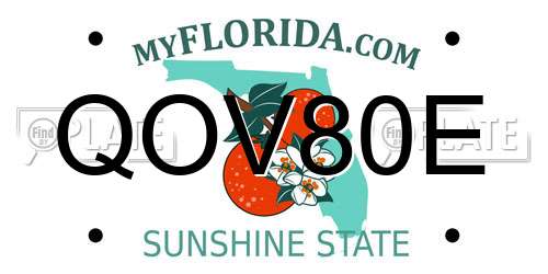 QOV80E Florida License Plate