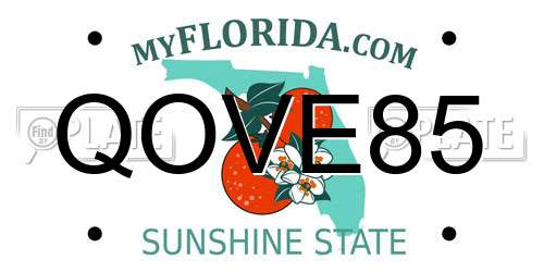 QOVE85 Florida License Plate